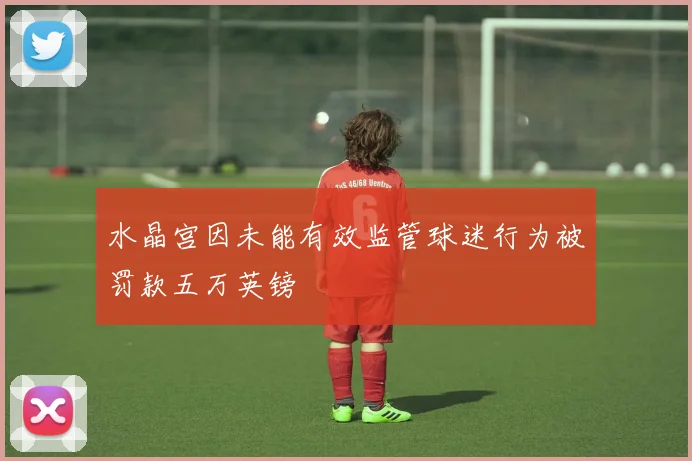 水晶宫因未能有效监管球迷行为被罚款五万英镑